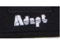 Adapt